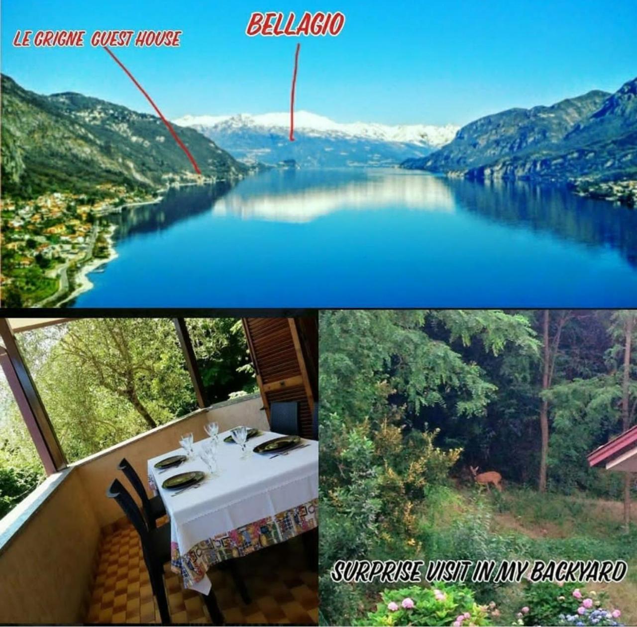 Le Grigne Guest House Oliveto Lario Exterior foto