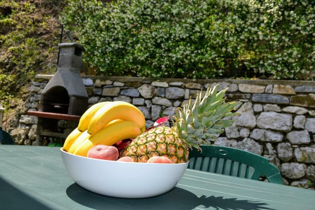 Le Grigne Guest House Oliveto Lario Exterior foto